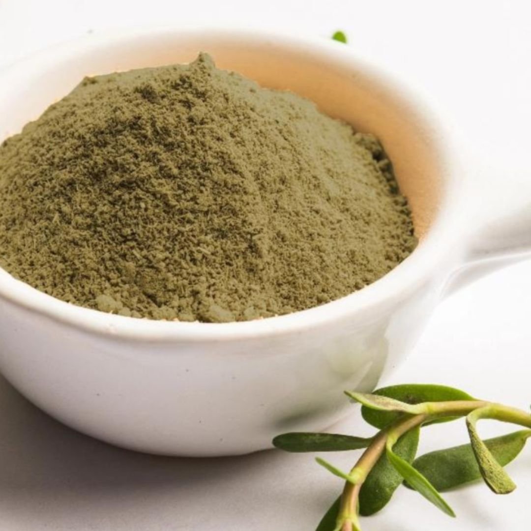 Bacopa (Brahmi) Extract